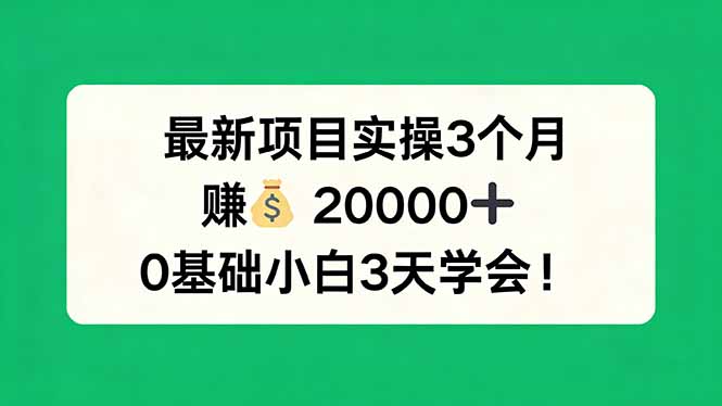 最新项目实操3个月，赚钱20000+，0基础小白3天学会！-聚宝盆-全网首发高质量项目输出
