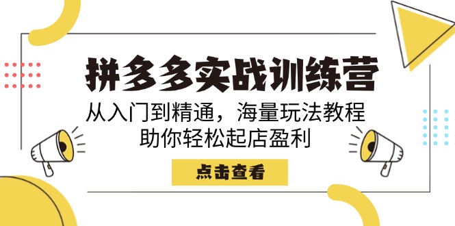 （14392期）拼多多实战训练营，从入门到精通，海量玩法教程，助你轻松起店盈利-测试测试