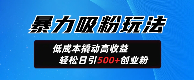 暴力吸粉玩法，日引500+精准创业粉，日变现轻松多张-测试测试