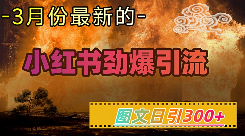 小红书超劲爆引流手段，图文日引300+轻松变现1W-测试测试