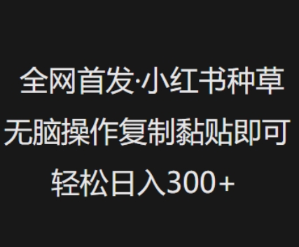 全网首发，小红书种草无脑操作，复制黏贴即可，轻松日入3张-测试测试