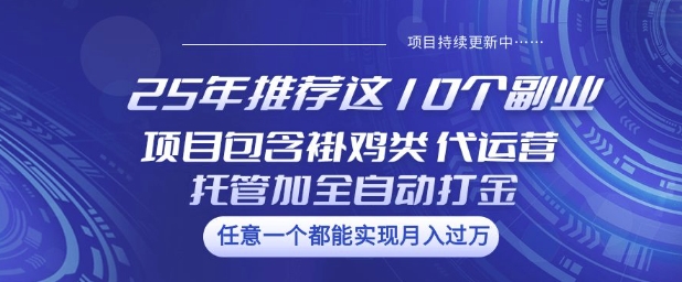 25年推荐这10个副业项目包含褂鸡类、代运营托管类、全自动打金类【揭秘】-测试测试