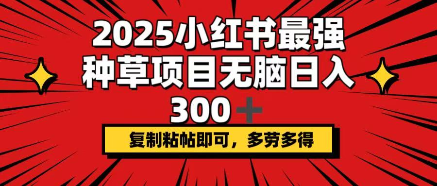 （14375期）2025小红书最强种草项目，无脑日入300+，复制粘帖即可，多劳多得-聚宝盆-全网首发高质量项目输出
