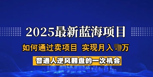 2025蓝海项目，普通人如何通过卖项目，实现月入过W，全过程【揭秘】-聚宝盆-全网首发高质量项目输出