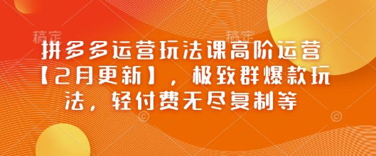 拼多多运营玩法课高阶运营【2月更新】，极致群爆款玩法，轻付费无尽复制等-聚宝盆-全网首发高质量项目输出