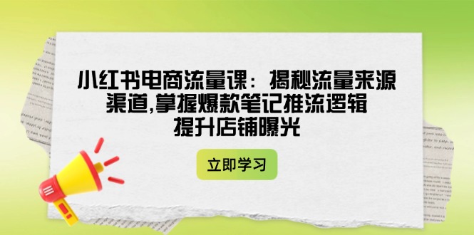 （14318期）小红书电商流量课：揭秘流量来源渠道,掌握爆款笔记推流逻辑,提升店铺曝光-聚宝盆-全网首发高质量项目输出
