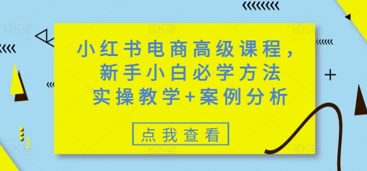 小红书电商高级课程，新手小白必学方法，实操教学+案例分析-测试测试