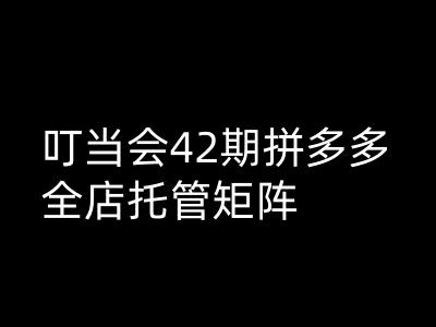 叮当会拼多多打爆班原创高阶技术第42期，拼多多全店托管矩阵-聚宝盆-全网首发高质量项目输出